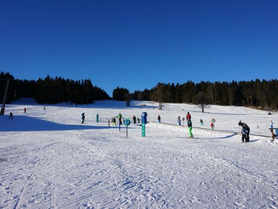 Skifahren und Rodeln am Viehberg