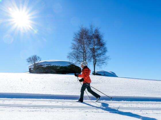 Langlaufen in St. Georgen W._(c)M%c3%bchlviertler Alm_Dieter Hawlan