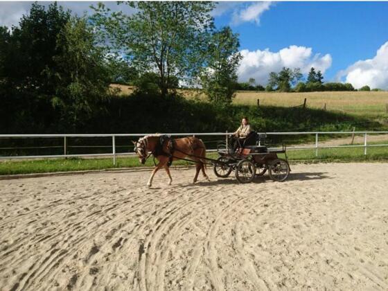 St. Oswald_Kutschenfahrte Greindl_(c) Greindl_2