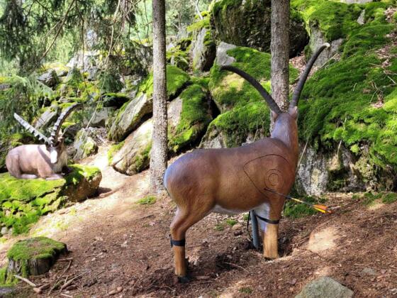 Bogensport Hiaslbauer