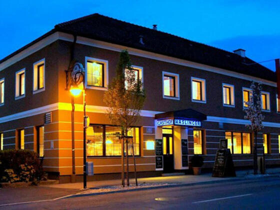 Gasthof Haslinger bei Nacht