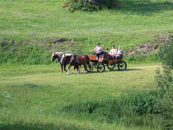 Kaltenberger Kutschen- und Schlittenfahrten