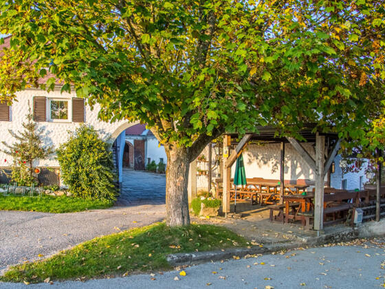 08102018_173454_IMG_3945-HDR-1_tourdata