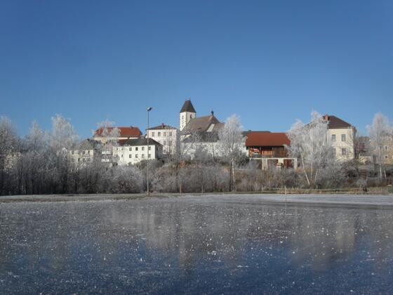 Ortsansicht Grünbach