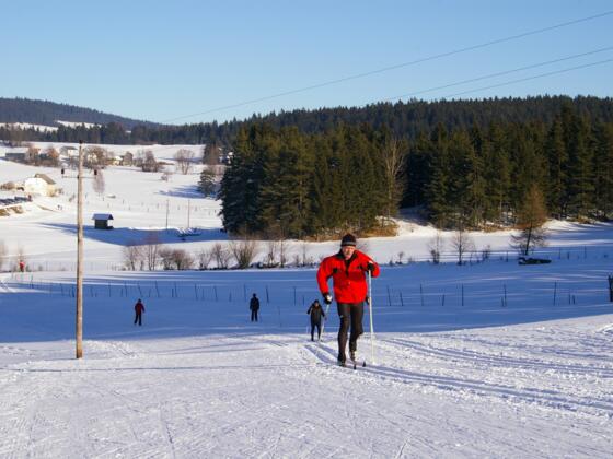 Langlauf Mitterbach