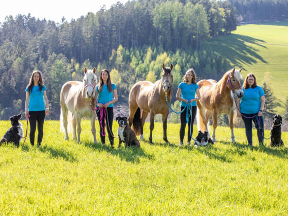 1_Lernen mit Sinn Team