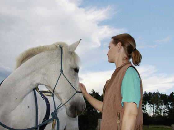 Prandstetterhof_weisses_Pferd