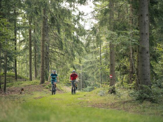 ZweiMountainbikerWald_OberoesterreichTourismusMuehlviertlerAlmFreistadtMoritzAblinger.jpg