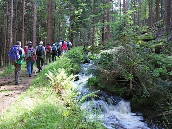 Am Mühlgrabenweg