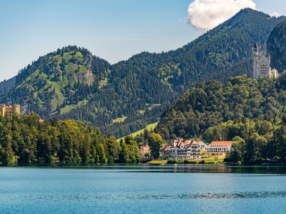 Alpenrose am See - Sommeransicht