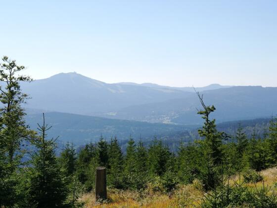 Blick vom Lackaberg-Sattel zum Großen Arber