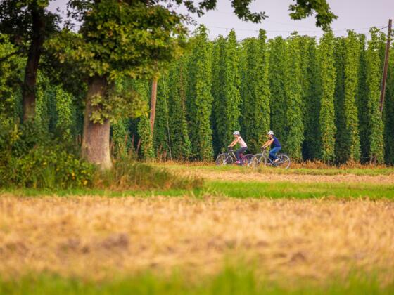 Rund um die Hallertau