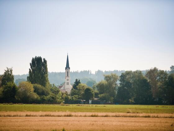 Reichertshausener Wege