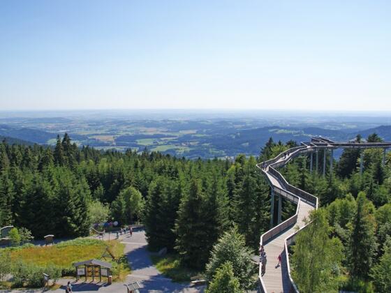 WaldWipfelWeg in Maibrunn