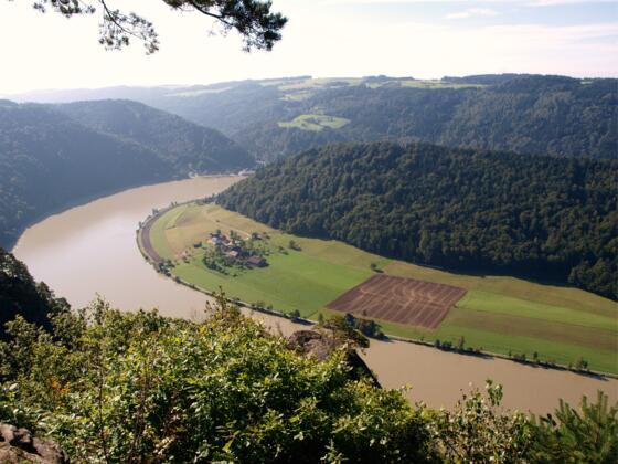 Steinerfelsen 543m mit Donaublick
