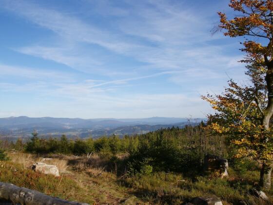 Fernsicht vor dem Gipfel (siehe Tipp des Autors)