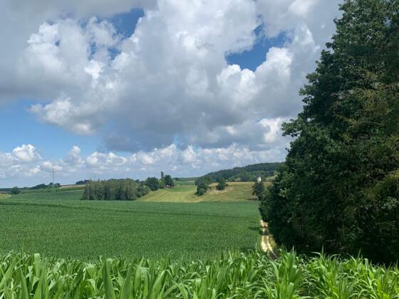 Mettenbacher Tal Rundweg