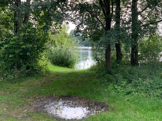 Weiher auf Höhe Feilenmoos.JPEG