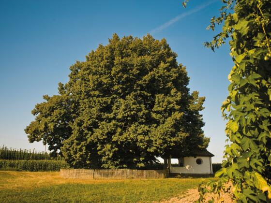 Schweitenkirchen Dörferblick