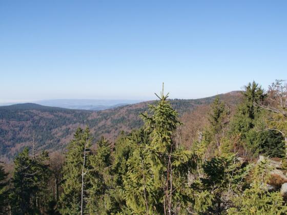 Aussicht vom Klausenstein zum Hirschenstein
