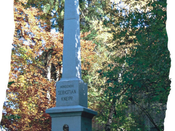 Kneipp-Denkmal in Stephansried