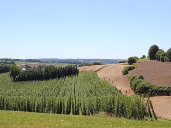 Panoweg Ost_3 ©Stadt Pfaffenhofen.JPG