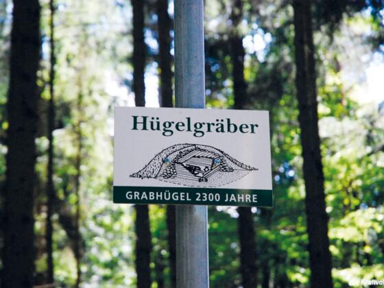 Auf den Spuren der Kelten - Hügelgräber