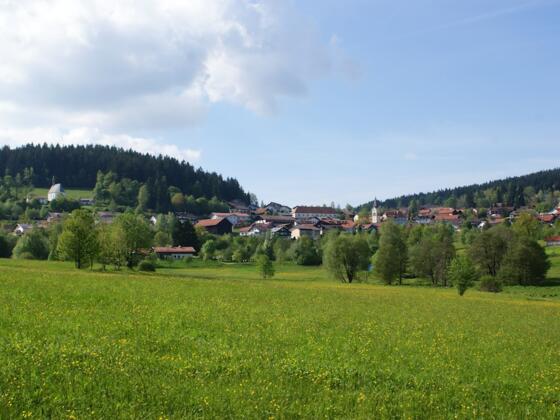 Blick über die Kurparkwiesen nach St. Englmar