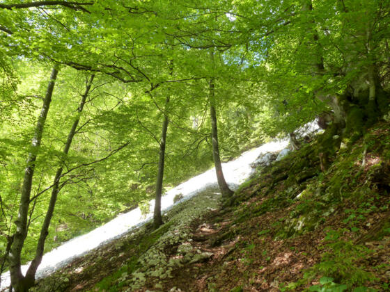 Ammergauer Höhenweg (1.Etappe von 4)