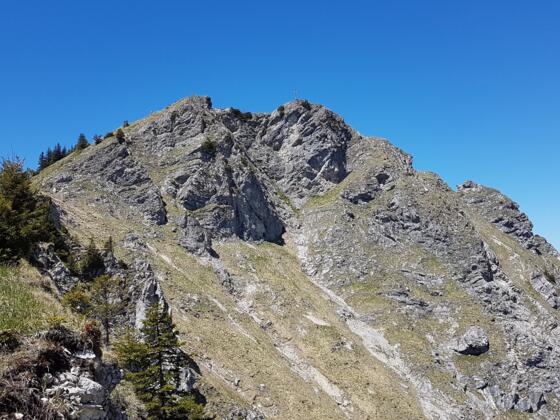Gipfel Grubenkopf Naturpark Ammergauer Alpen