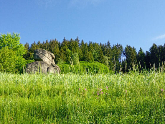 Phallusstein