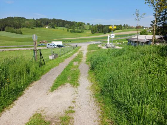 Hundeabrichteplatz Vierzehn