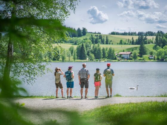 Rundweg Soier See
