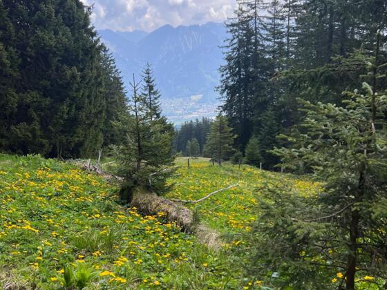 Ausblick Richtung Bludenz