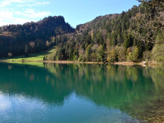 Der Alatsee zählt mit seinem kristallklaren Wasser zu einem der schönsten Seen im Ostallgäu