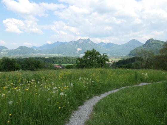 Blick auf das Alpenpanorama