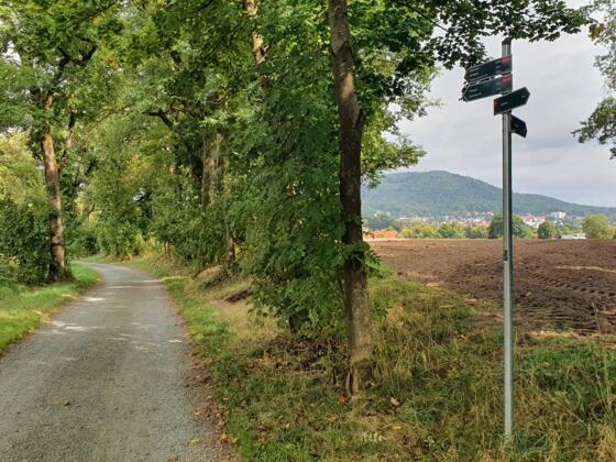 Wanderweg Ne 4, Ne 10 mit Blick auf dem Muppberg