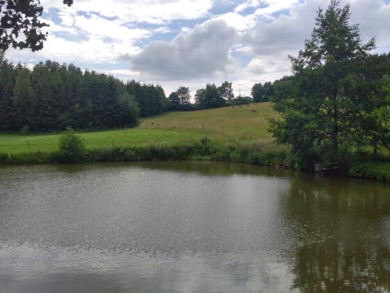 Am Teich