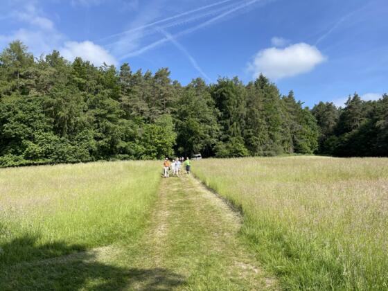 BR-Wandertag - Kapellenberg