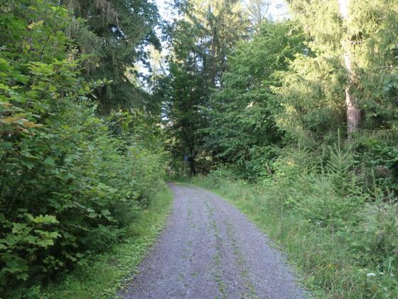 Wanderung um Rödental