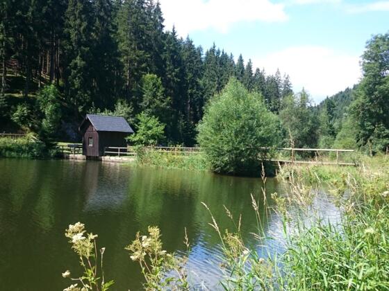 Floßteich an der Bischofsmühle
