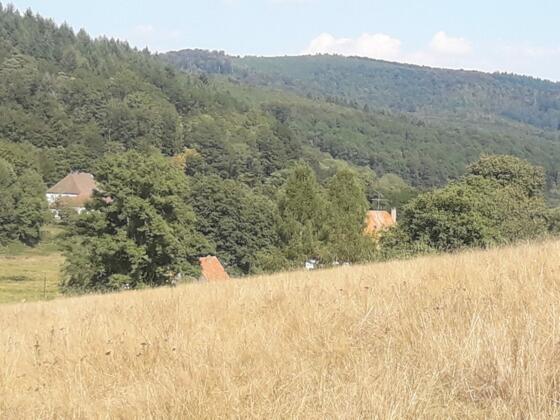 Blick auf Lichtenau