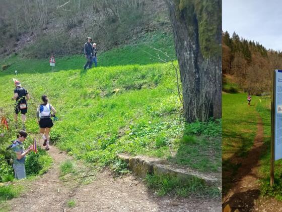 Quelle am Brunnweg Engelhardsberg