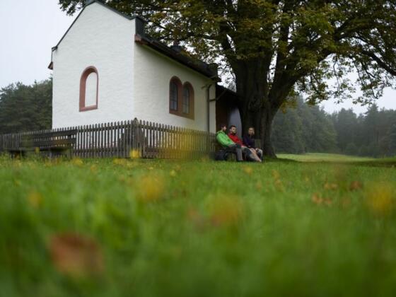 Kapelle "Herrin der Berge" oberhalb von Heimbuchenthal