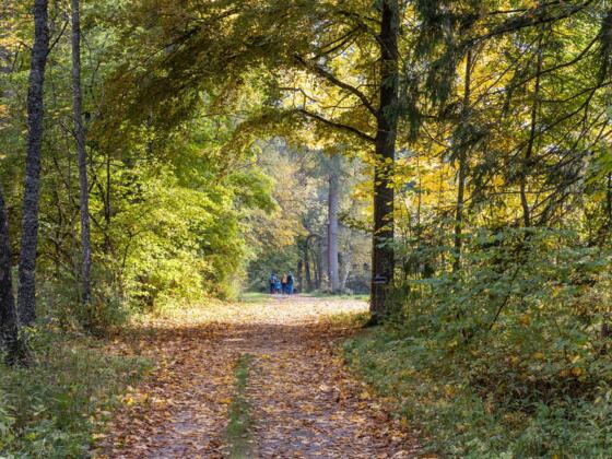 Haubenbergweg