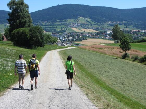 Wandern am Böhmerwaldblickweg