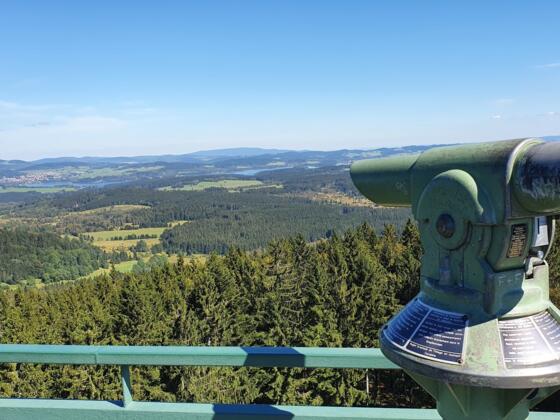 MoldaublickBlickZumMoldaustauseeSchoeneben_FerienregionBoehmerwaldFelhofer.jpg