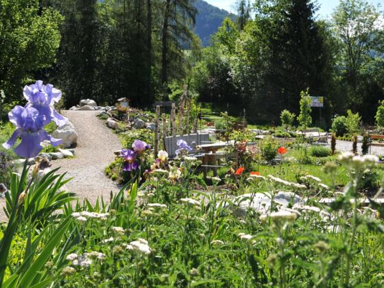 Hildegard von Bingen Garten