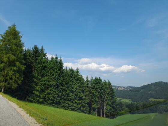 Ausblick nach St. Georgen am Walde entlang der Radtour