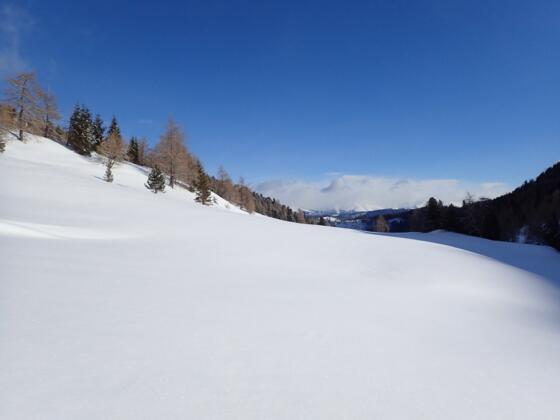 Unberührter Schnee am Weg zur Mühlhauserhöhe